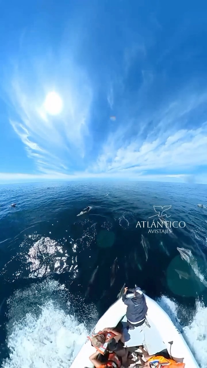 Equipo Atlántico Avistajes