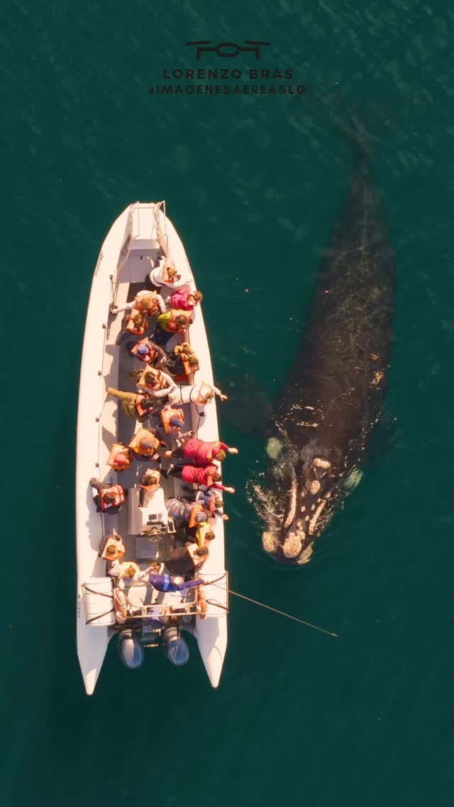 Equipo Atlántico Avistajes